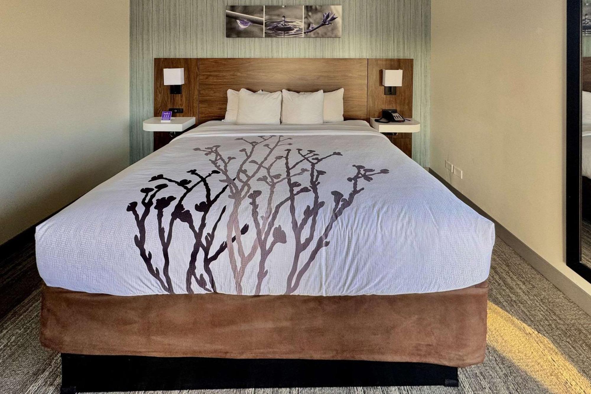 Sleep Inn Oakbrook Terrace - Chicago Kültér fotó